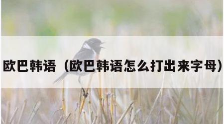 欧巴韩语（欧巴韩语怎么打出来字母）