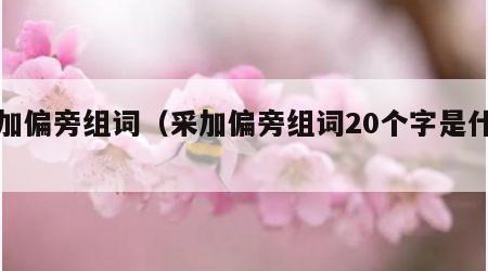 采加偏旁组词（采加偏旁组词20个字是什么）