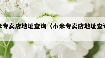 小米专卖店地址查询（小米专卖店地址查询附近）