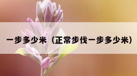 一步多少米（正常步伐一步多少米）