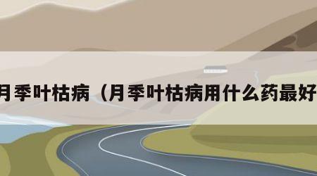 月季叶枯病（月季叶枯病用什么药最好）