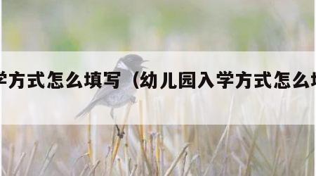 入学方式怎么填写（幼儿园入学方式怎么填写）