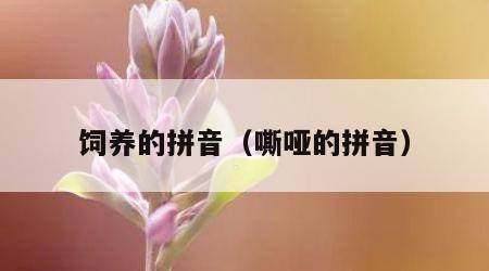 饲养的拼音（嘶哑的拼音）
