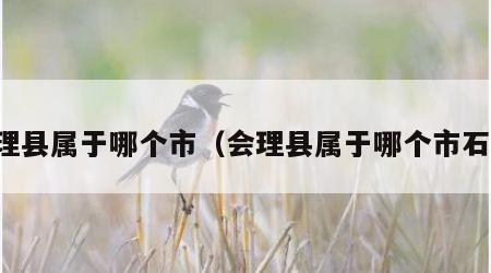 会理县属于哪个市（会理县属于哪个市石榴）