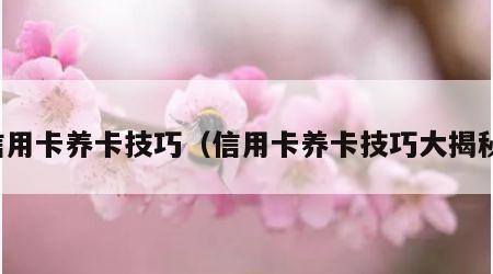 信用卡养卡技巧（信用卡养卡技巧大揭秘）