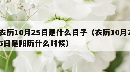 农历10月25日是什么日子（农历10月25日是阳历什么时候）