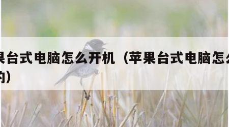 苹果台式电脑怎么开机（苹果台式电脑怎么开机的）