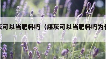 煤灰可以当肥料吗（煤灰可以当肥料吗为什么）
