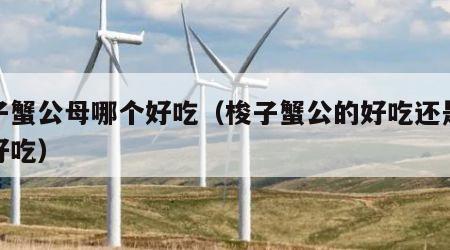 梭子蟹公母哪个好吃（梭子蟹公的好吃还是母的好吃）