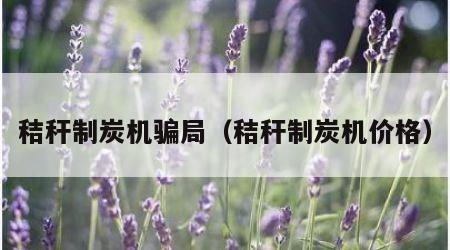 秸秆制炭机骗局（秸秆制炭机价格）