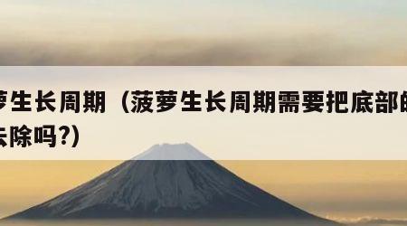 菠萝生长周期（菠萝生长周期需要把底部的叶子去除吗?）