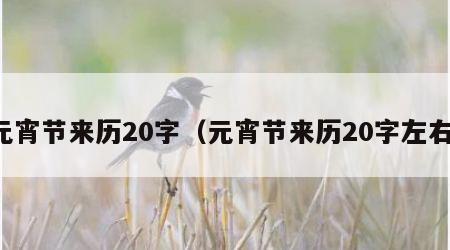 元宵节来历20字（元宵节来历20字左右）
