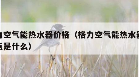 格力空气能热水器价格（格力空气能热水器优缺点是什么）