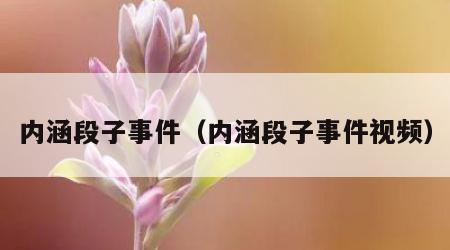 内涵段子事件（内涵段子事件视频）