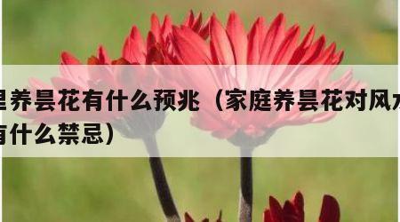 家里养昙花有什么预兆（家庭养昙花对风水好吗有什么禁忌）
