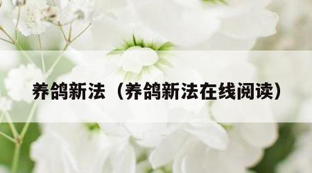 养鸽新法（养鸽新法在线阅读）