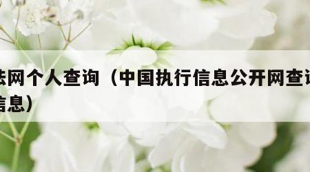 人法网个人查询（中国执行信息公开网查询个人信息）