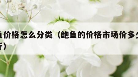 鲍鱼价格怎么分类（鲍鱼的价格市场价多少钱一斤）