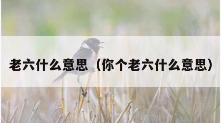 老六什么意思（你个老六什么意思）