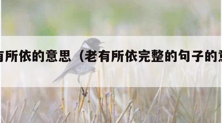 老有所依的意思（老有所依完整的句子的意思）
