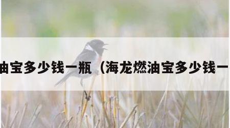 燃油宝多少钱一瓶（海龙燃油宝多少钱一瓶）