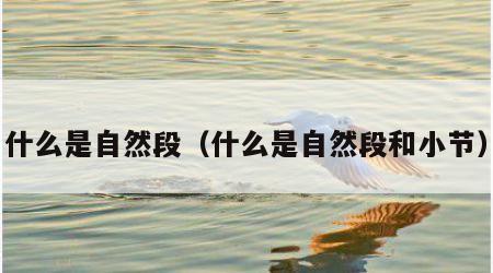 什么是自然段（什么是自然段和小节）