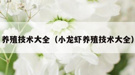 养殖技术大全（小龙虾养殖技术大全）