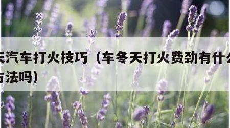 冬天汽车打火技巧（车冬天打火费劲有什么好的方法吗）