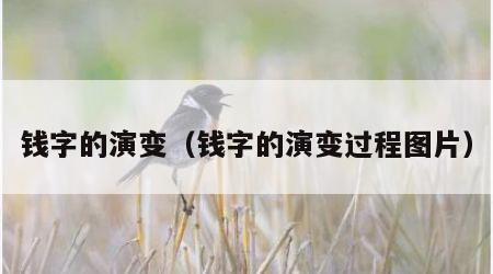 钱字的演变（钱字的演变过程图片）