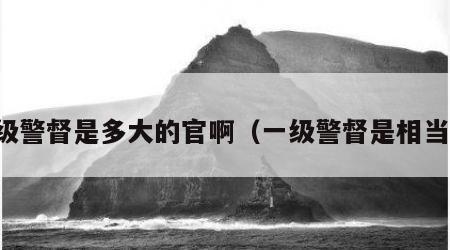 一级警督是多大的官啊（一级警督是相当于）