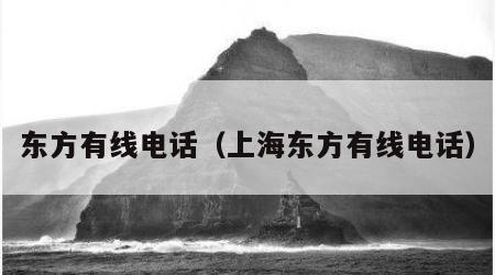 东方有线电话（上海东方有线电话）