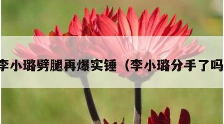 李小璐劈腿再爆实锤（李小璐分手了吗）
