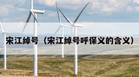 宋江绰号（宋江绰号呼保义的含义）