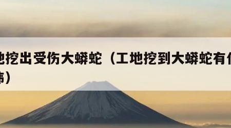 工地挖出受伤大蟒蛇（工地挖到大蟒蛇有什么忌讳）