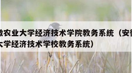 安徽农业大学经济技术学院教务系统（安徽农业大学经济技术学校教务系统）