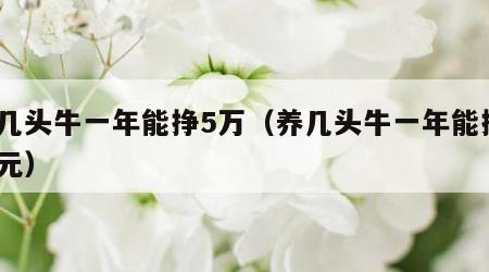 养几头牛一年能挣5万（养几头牛一年能挣5万元）