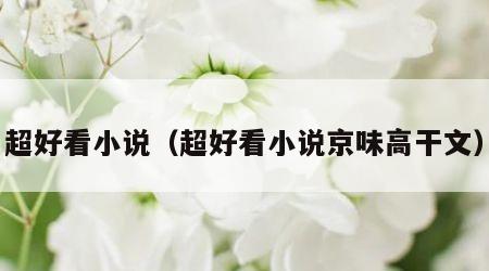 超好看小说（超好看小说京味高干文）