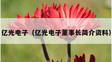 亿光电子（亿光电子董事长简介资料）