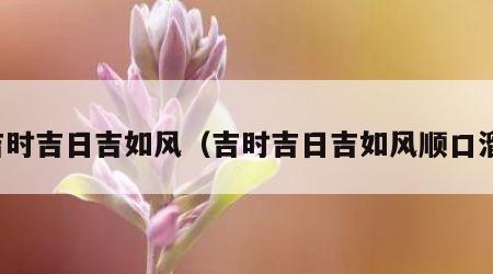 吉时吉日吉如风（吉时吉日吉如风顺口溜）