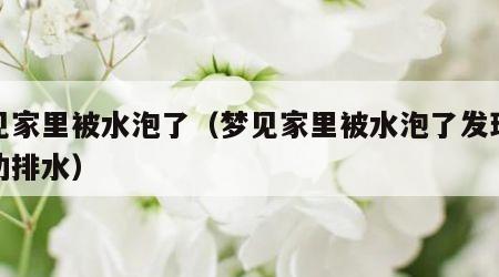 梦见家里被水泡了（梦见家里被水泡了发现后成功排水）