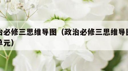 政治必修三思维导图（政治必修三思维导图第三单元）