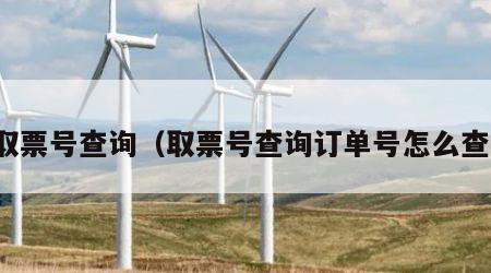 取票号查询（取票号查询订单号怎么查）