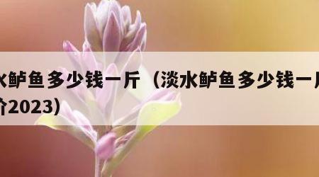 淡水鲈鱼多少钱一斤（淡水鲈鱼多少钱一斤市场价2023）