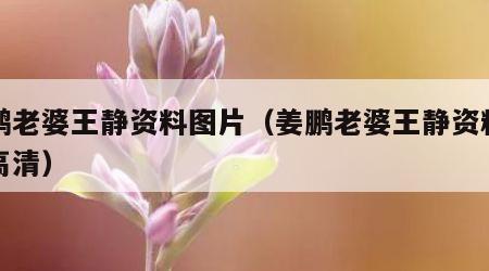 姜鹏老婆王静资料图片（姜鹏老婆王静资料图片高清）