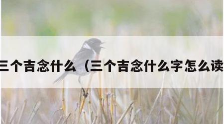 三个吉念什么（三个吉念什么字怎么读）
