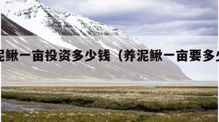 养泥鳅一亩投资多少钱（养泥鳅一亩要多少本钱）