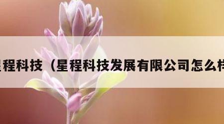 星程科技（星程科技发展有限公司怎么样）