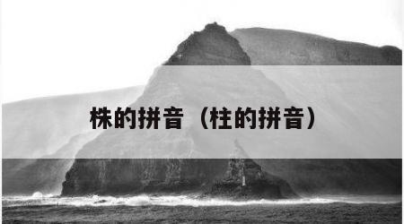 株的拼音（柱的拼音）