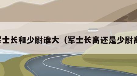 军士长和少尉谁大（军士长高还是少尉高）