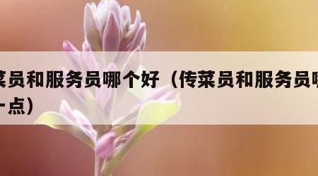 传菜员和服务员哪个好（传菜员和服务员哪个好一点）